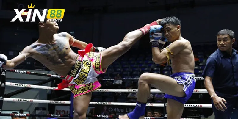 Tìm hiểu bộ môn cá cược boxing 88Bet là như thế nào