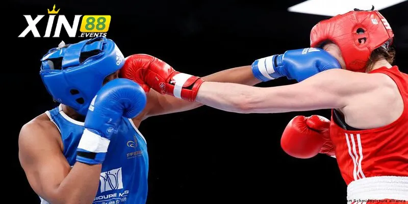 Cách đặt cược boxing tại nhà cái 88Bet nhanh gọn lẹ cho newbie