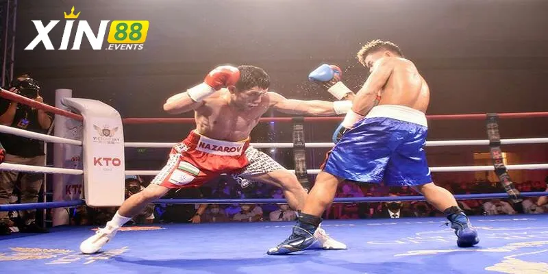 Tips cược boxing 88Bet chắc thắng cho thành viên mới hiện tại
