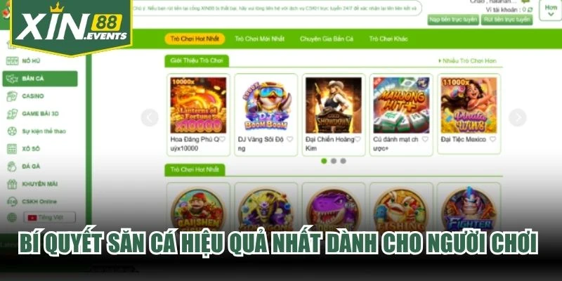 Bí quyết săn cá hiệu quả nhất dành cho người chơi tại sảnh game XIN88
