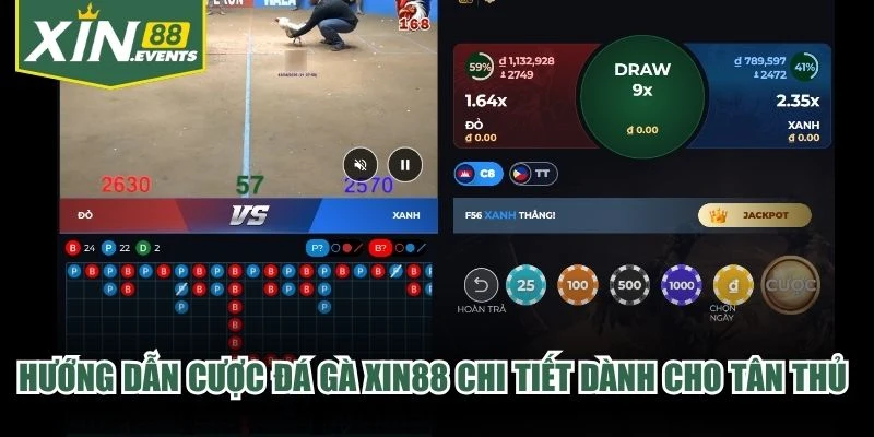 Hướng dẫn cược đá gà XIN88 chi tiết dành cho tân thủ gia nhập