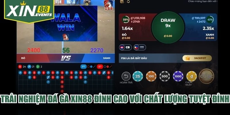 Trải nghiệm đá gà XIN88 đỉnh cao với chất lượng tuyệt đỉnh