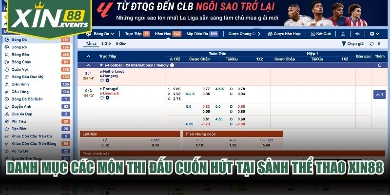 Danh mục các môn thi đấu cuốn hút tại sảnh thể thao XIN88